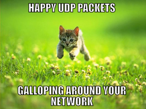 10669318_10152774542251349_1106876536311792259_o