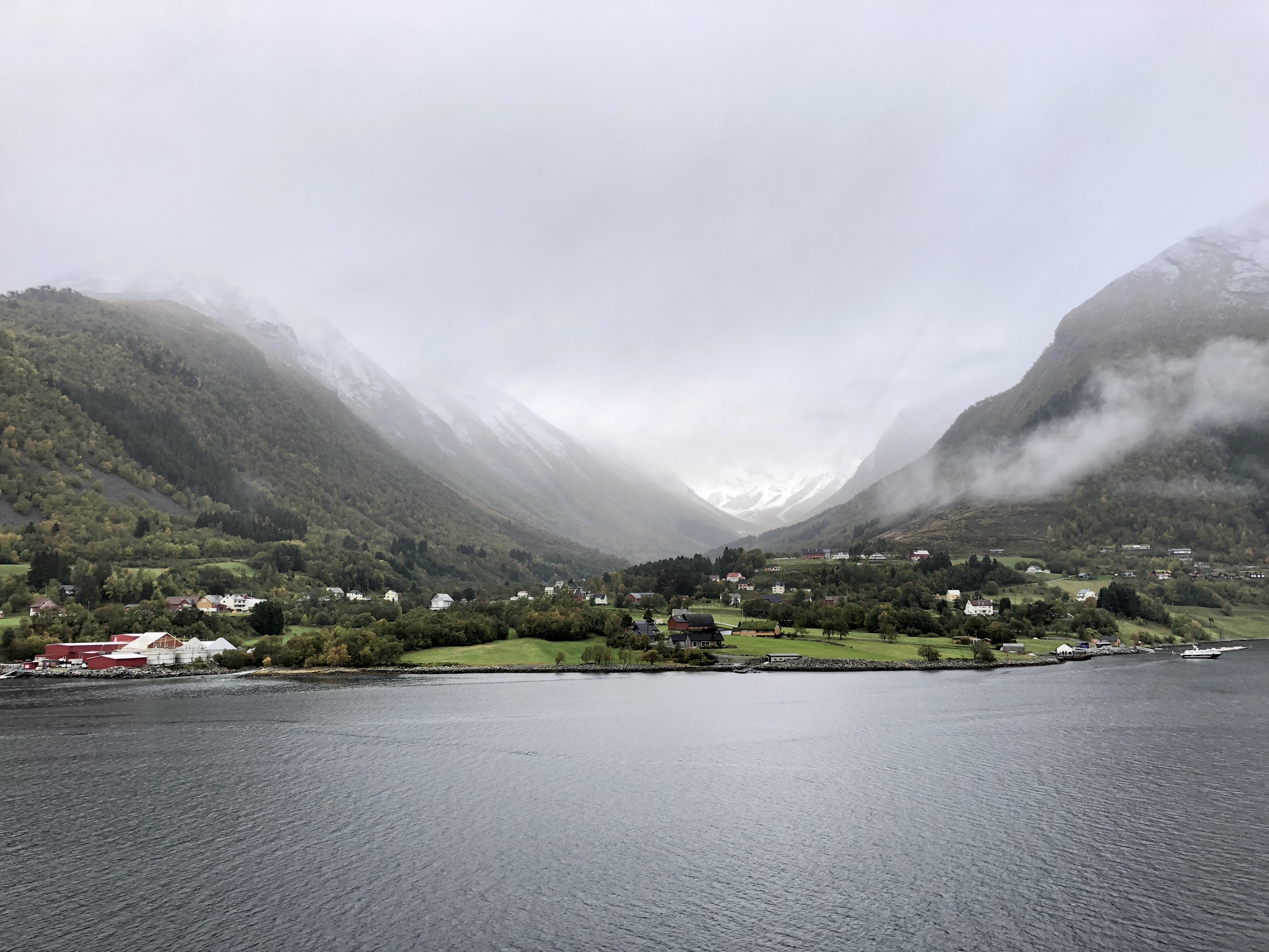 Scott_Lee-Guard_Cisco_Wellington_New_Zealand