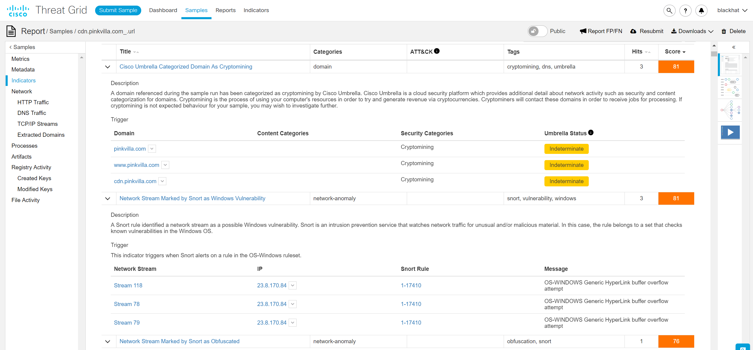 Cryptomining - Threat Grid Report
