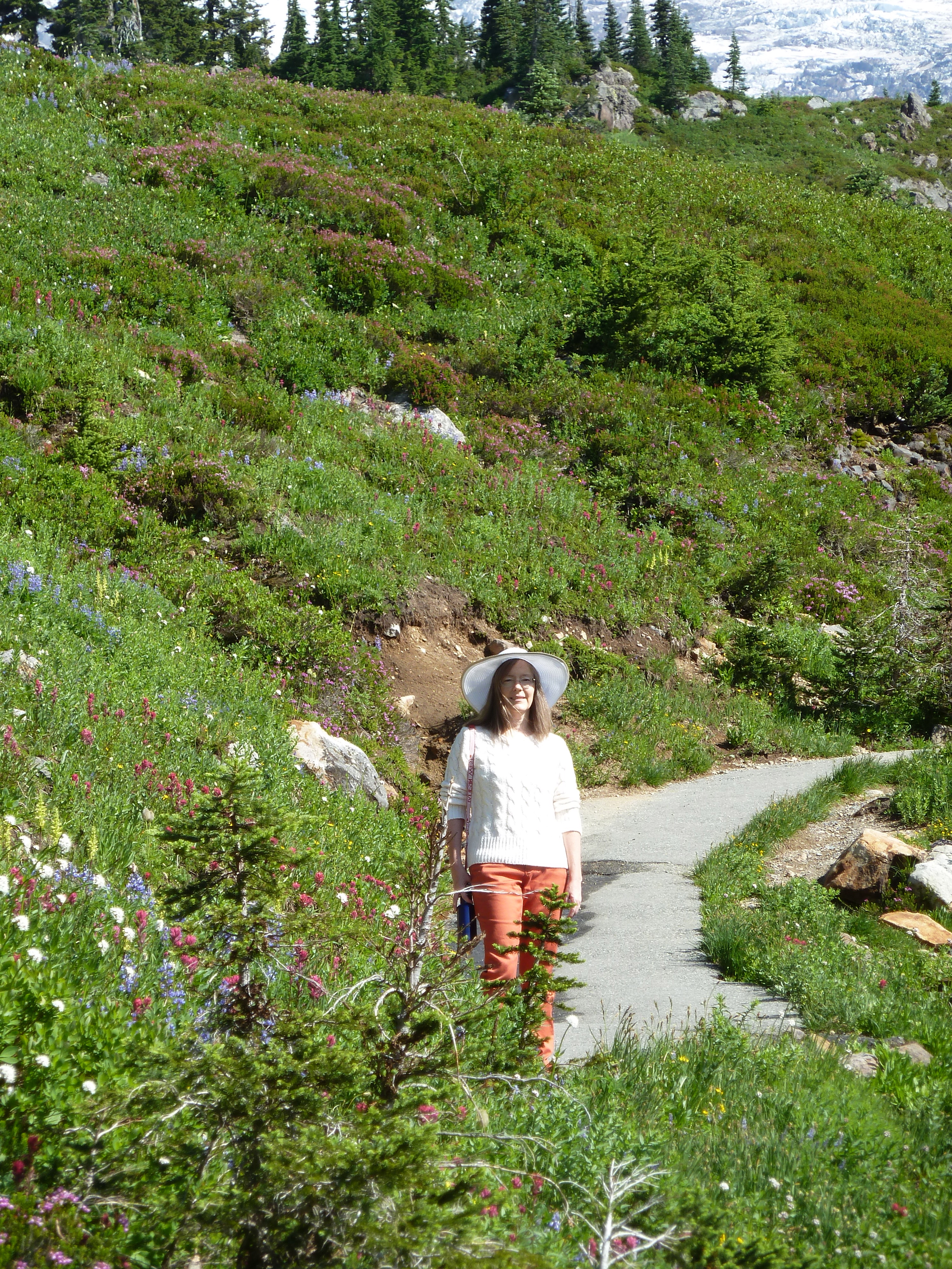 Network Design in the Modern Era1