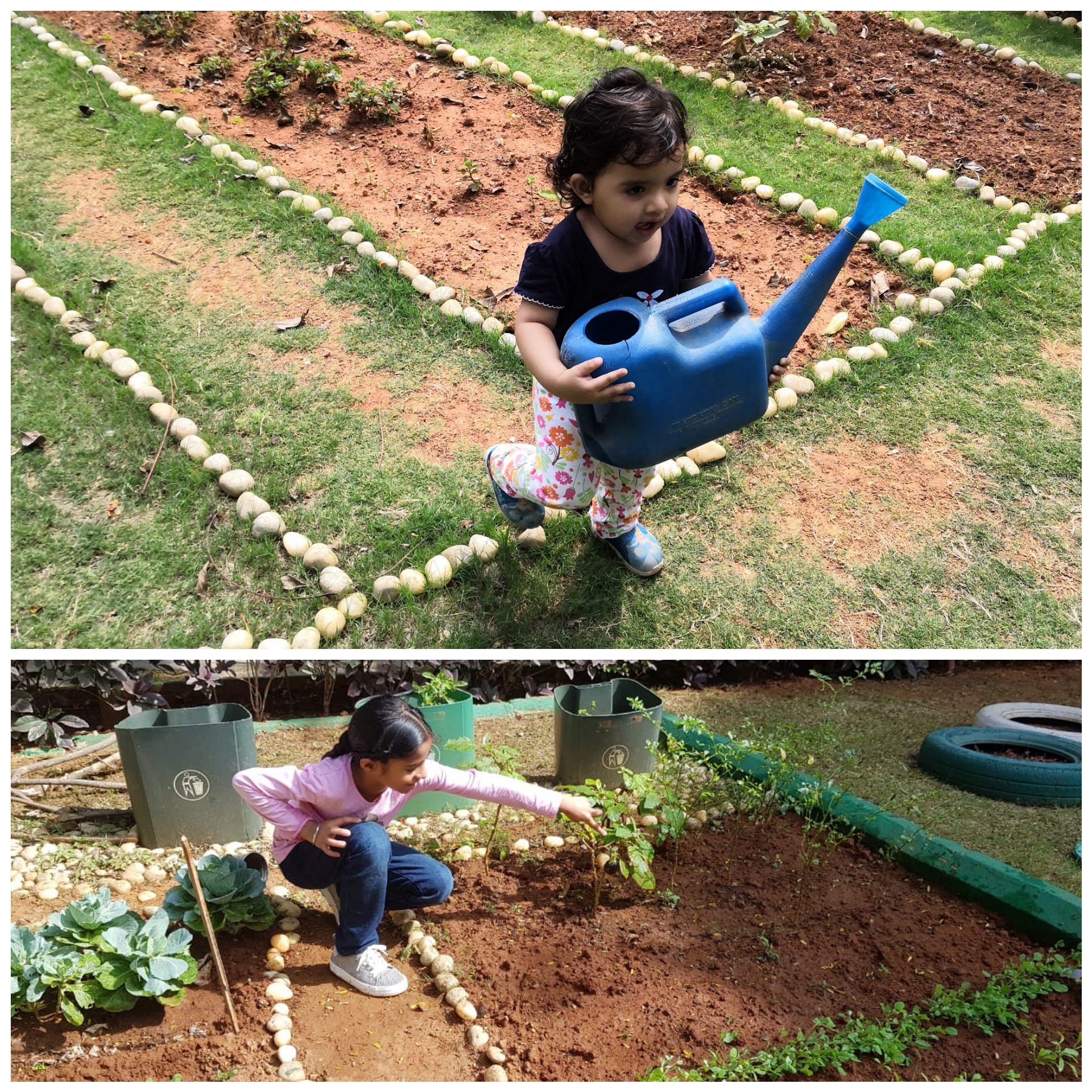 Children help water and work the Cisco community garden on the weekend.