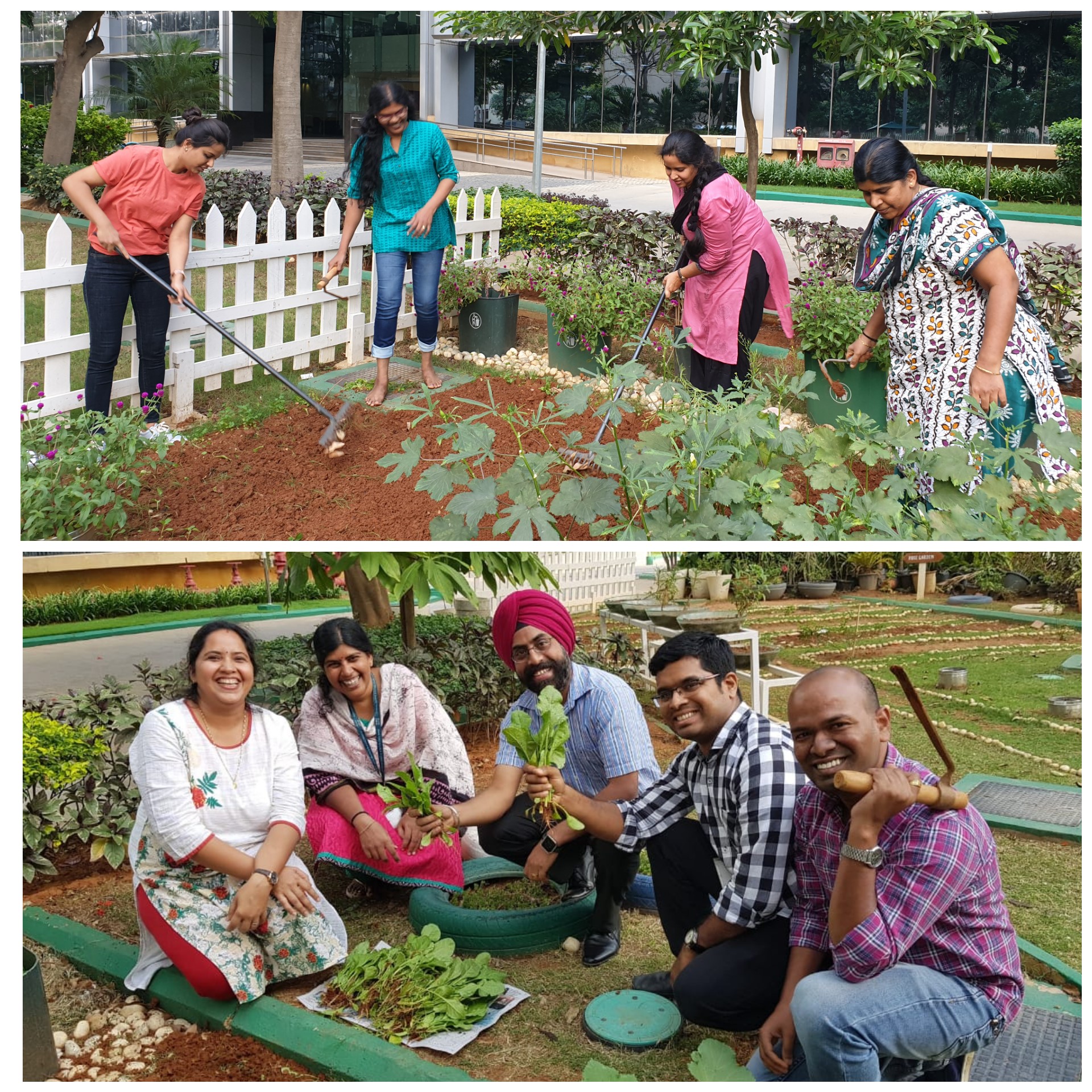 Raja and their peers working in the Cisco community garden in Bangalore.