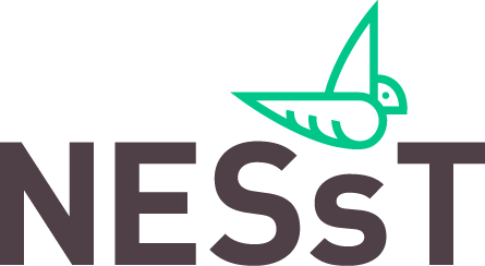 NESsT logo