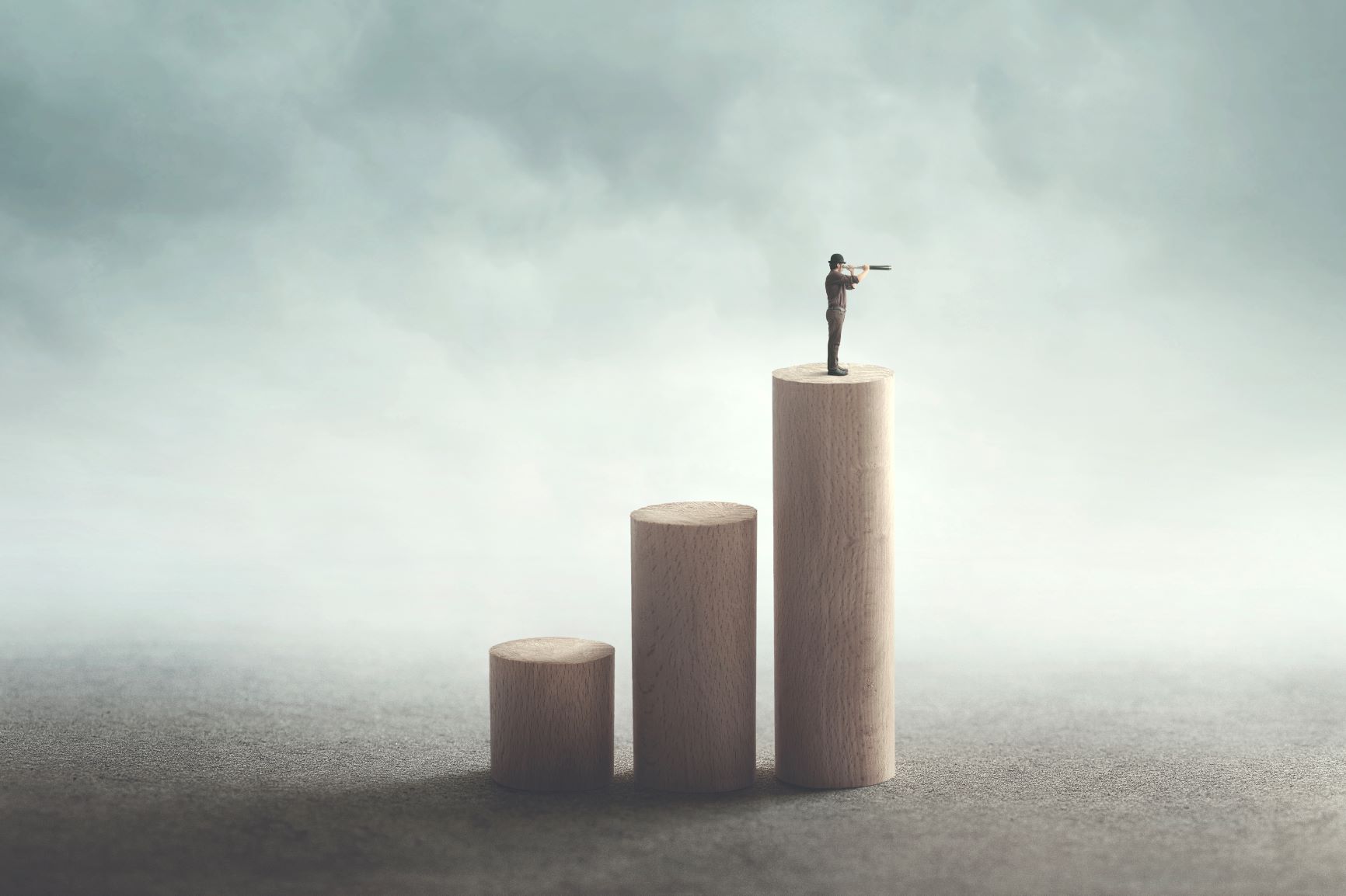 Executive Perspectives