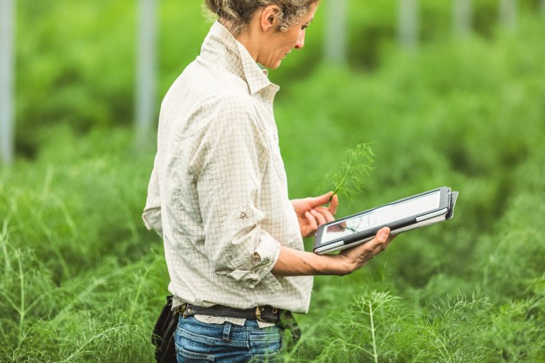 Cisco Rural Broadband 