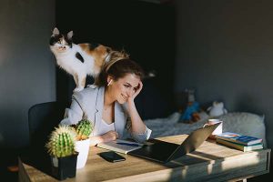 Working from home with a cat