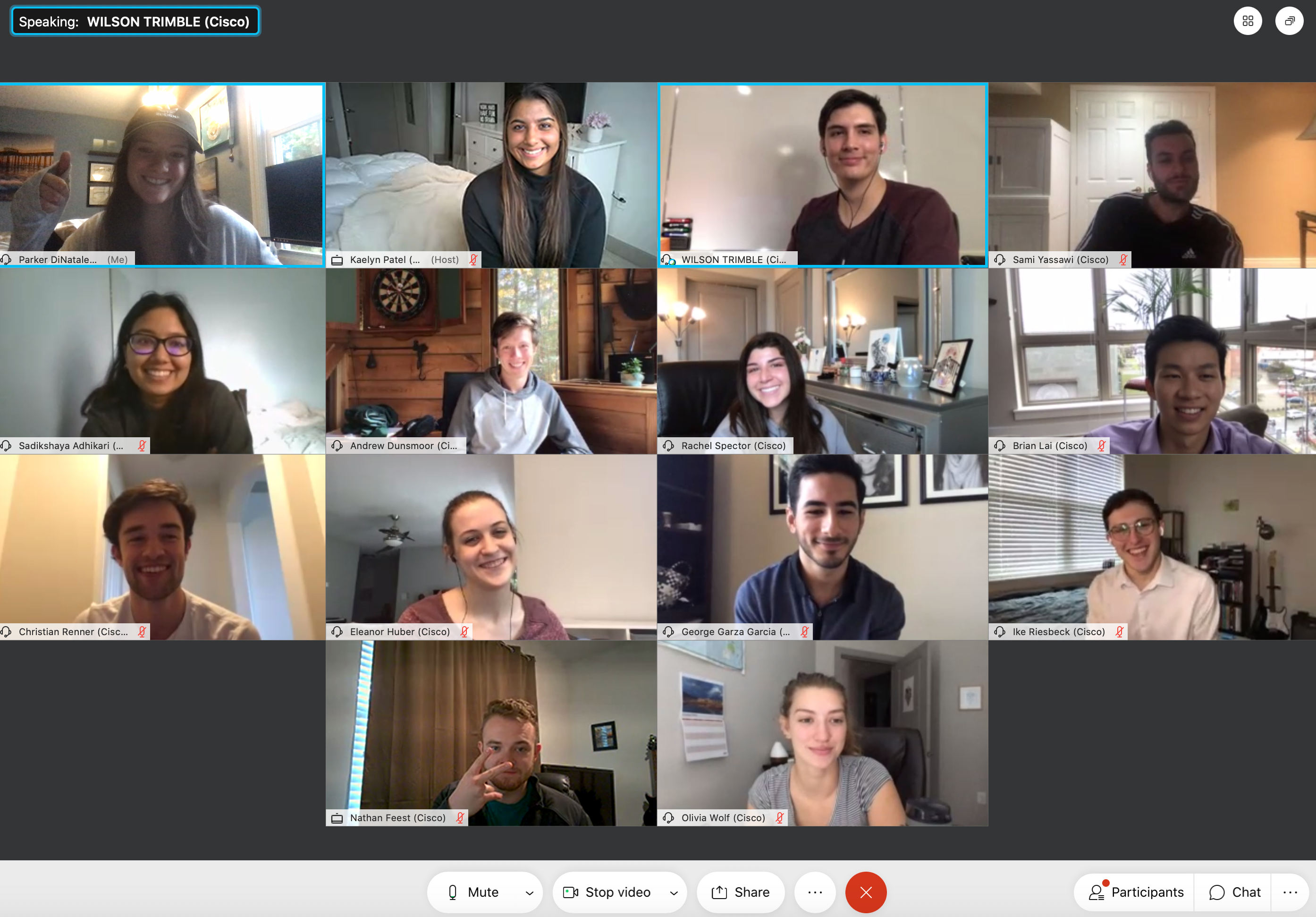Rachel and team on Webex call. 