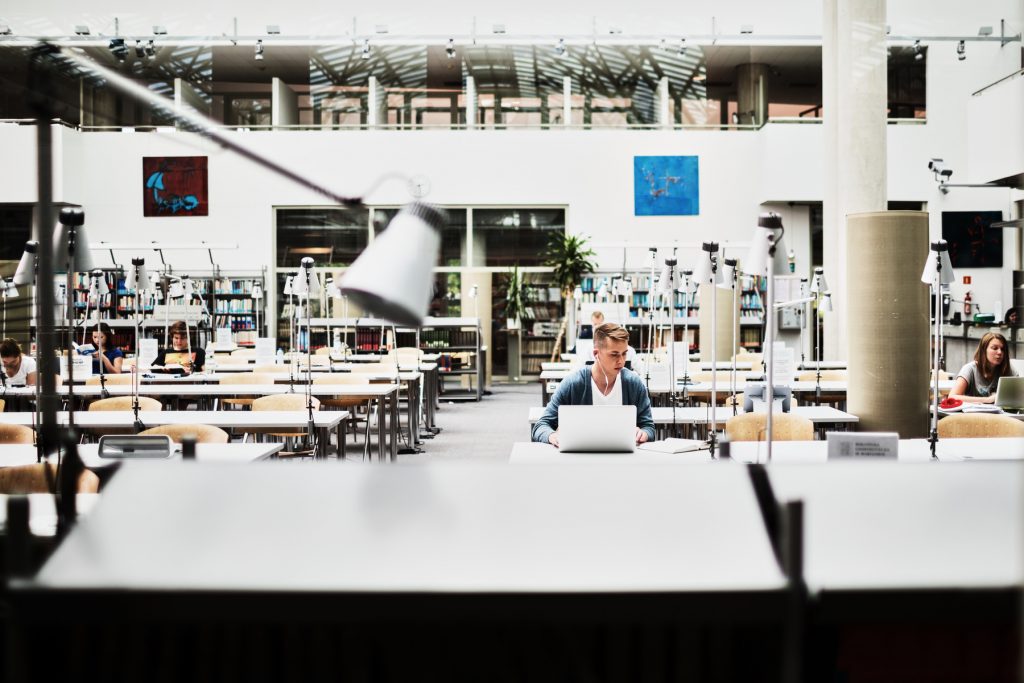 All rights reserved to Sandra Cifo