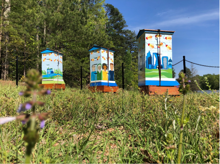 Cisco beehives in RTP painted in bright colors