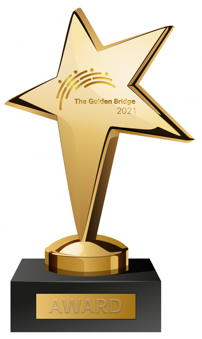 Cisco Networking Academy graphic of bridge award 