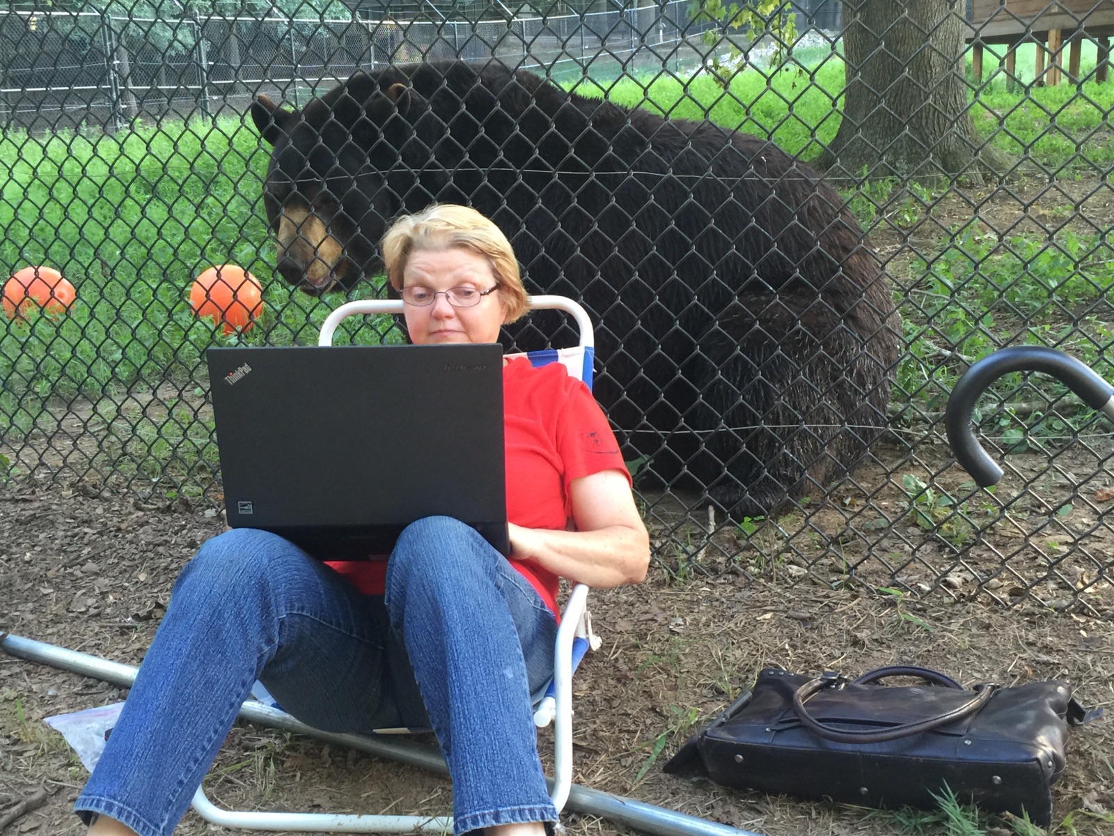 Rit's daughter's PenPal sitting in front of a bear, while working on a laptop. 