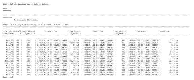 Figure 2: Raw microburst records (NX-OS)