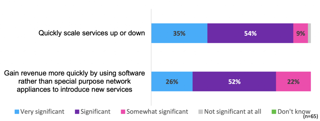 Omdia NFV/Edge Adoption and Vendor Perception Survey – 2021
