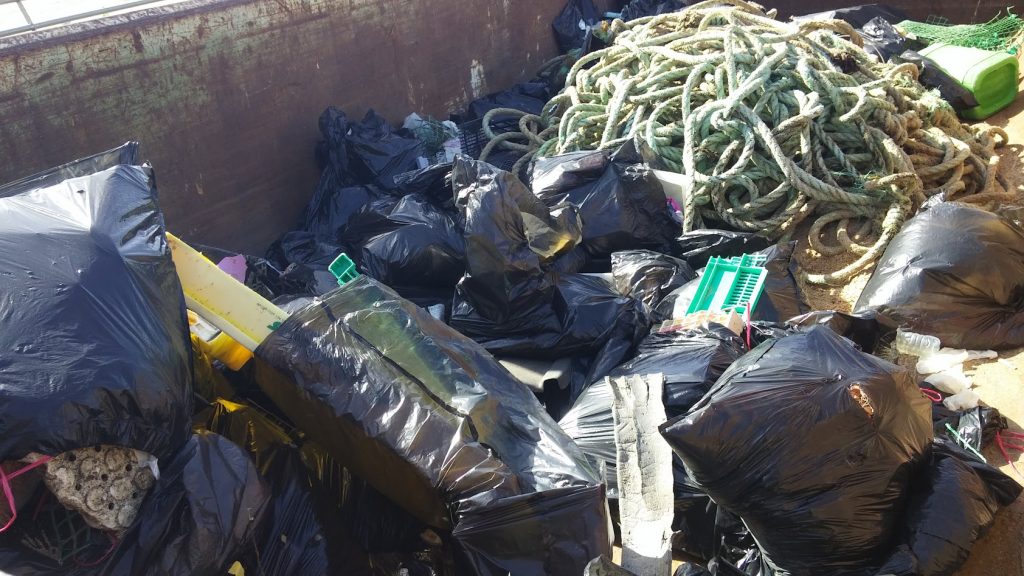 Trash found on the beach