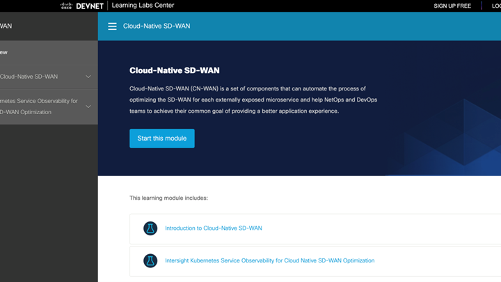 SD-WAN API