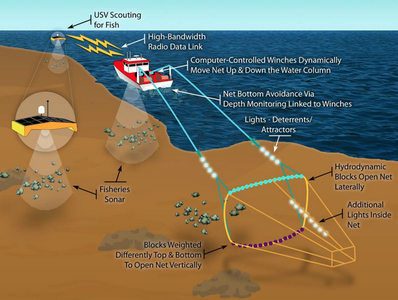An infographic explaining how Katchi works