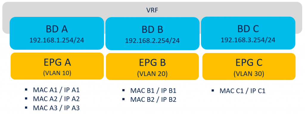EPG = BD segmentation design