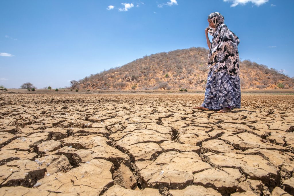 A woman standing in a field cracked and dry from drought