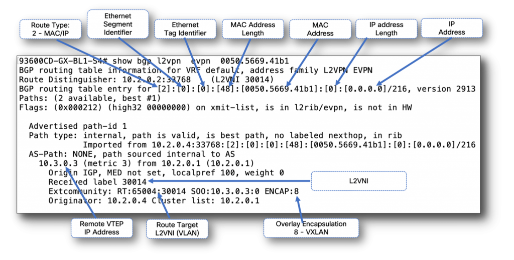 Picture of command lines for VXLAN related actions