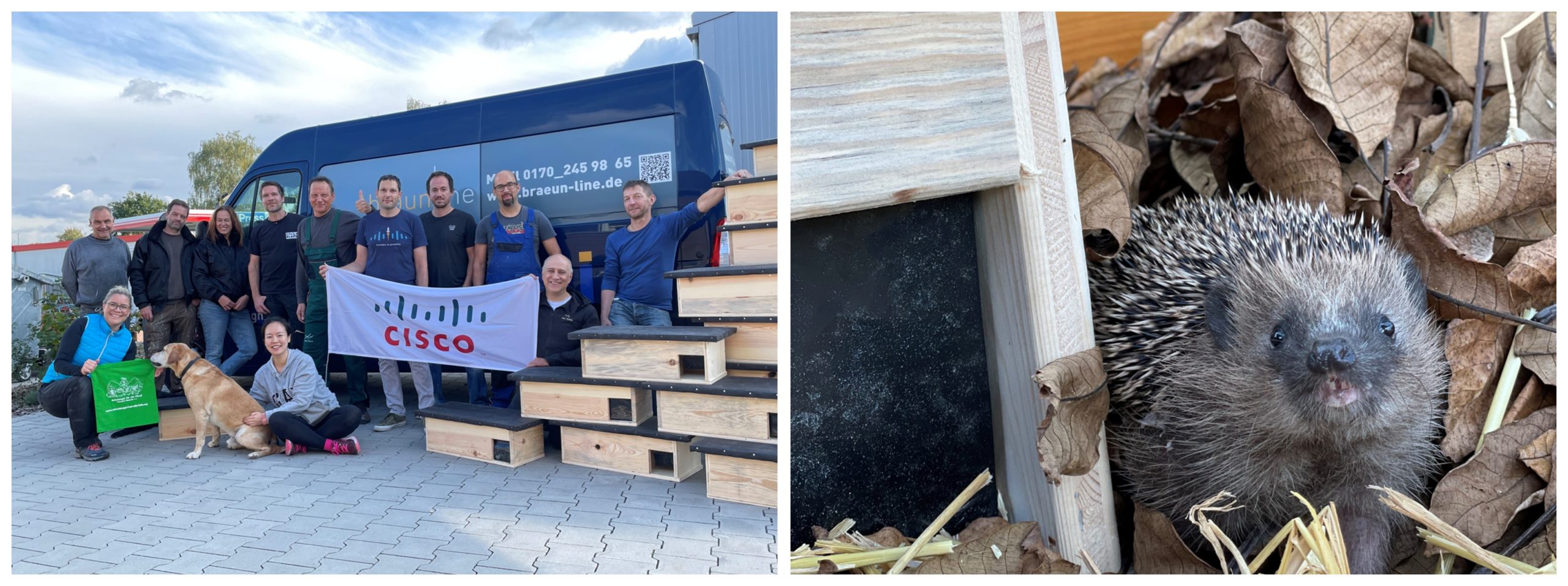 Two photos side by side, one of a van with people and a banner with the Cisco logo, and the other of a hedgehog