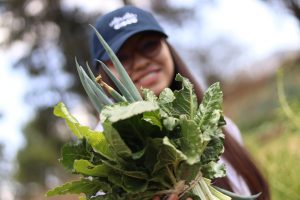 Woman holding bunch of vegetables out to the camera. She's wearing a navy blue Cisco hat and is blurred in the background.