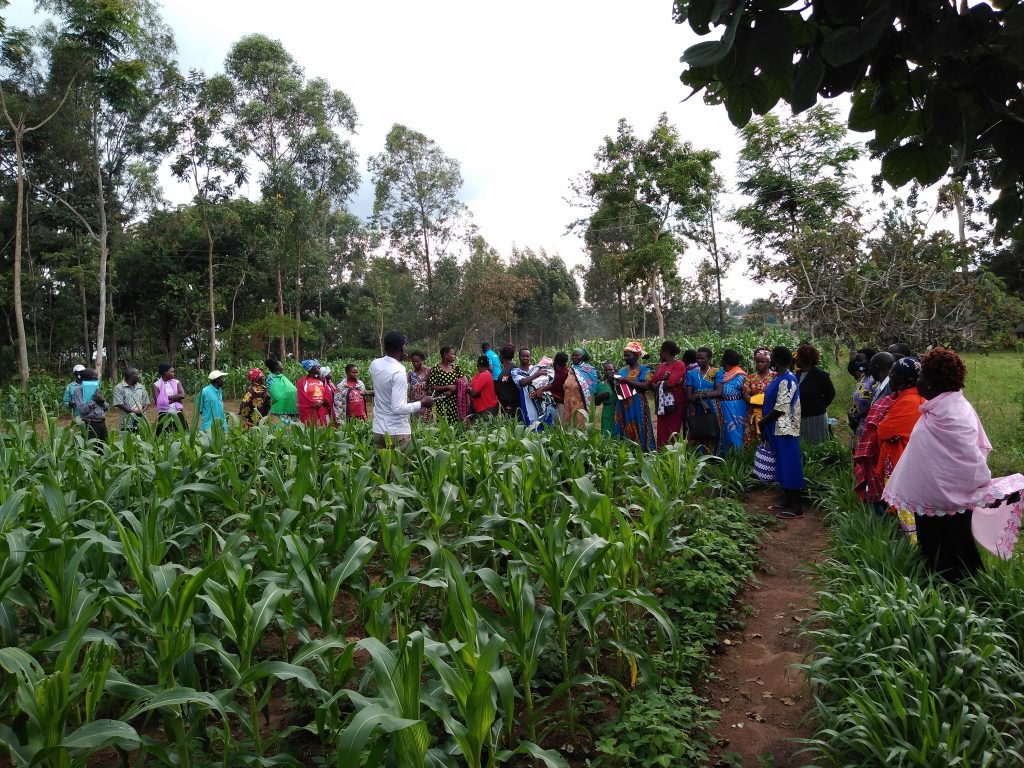 PlantVillage field officer training farmers