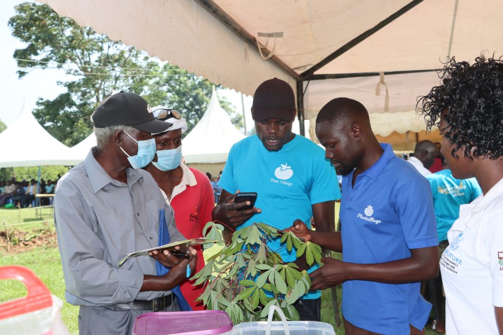 PlantVillage Dream Team members working with farmers