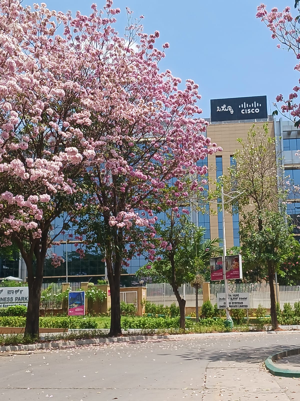 Cisco Bangalore campus.