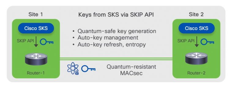 Cisco SKIP API illustration