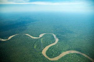 Aerial view of the amazon river