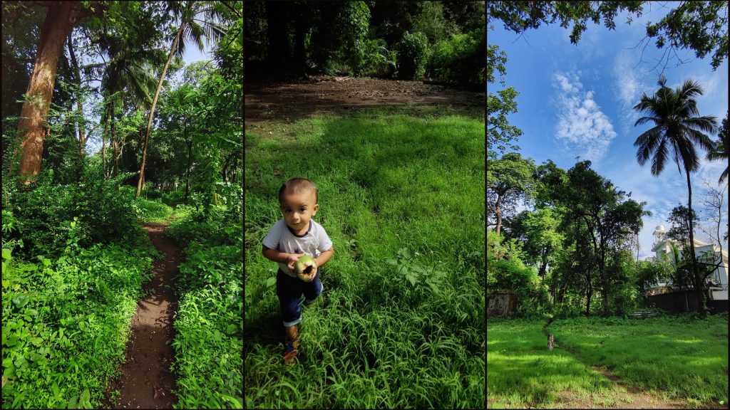 A photo collage of two green landscapes and in the middle a child holding a ball