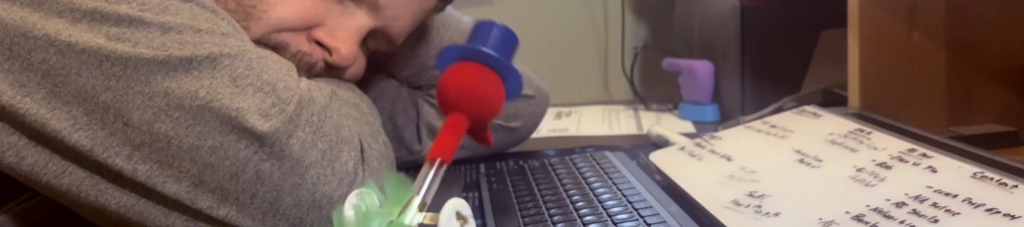 Hank catches some shut eye while birdie takes over