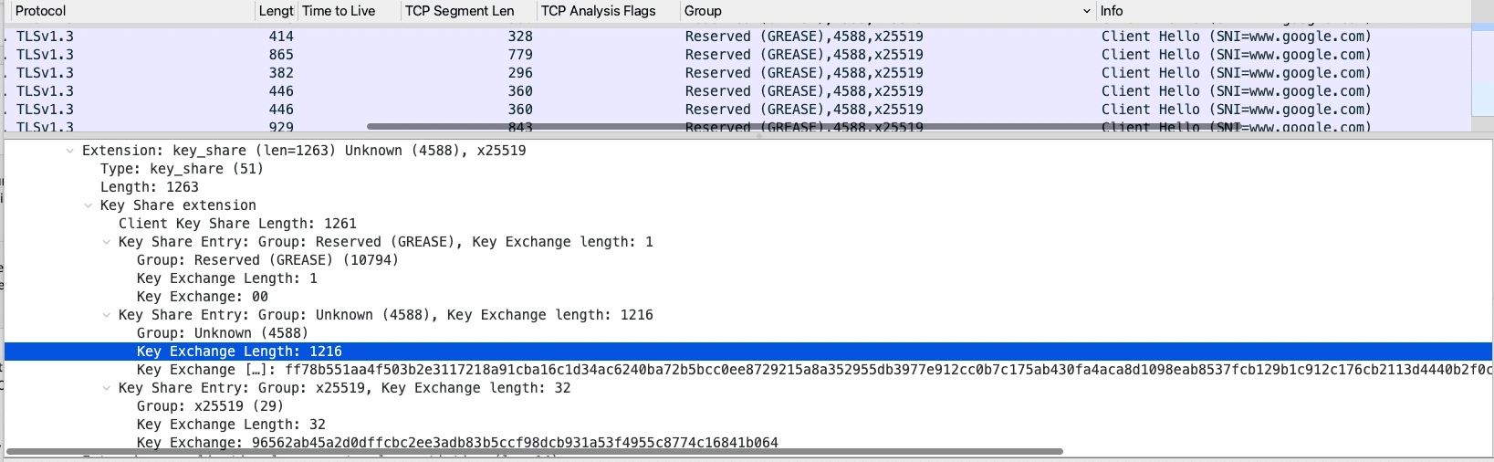 Wireshark capture from Google