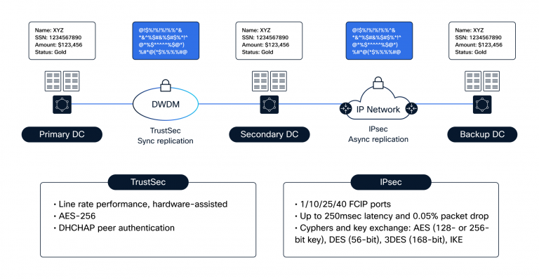 Flow chart displaying link layer security and hybrid SAN extensions using TrustSec and IPsec technologies, including specs for TrustSec and IPsec.