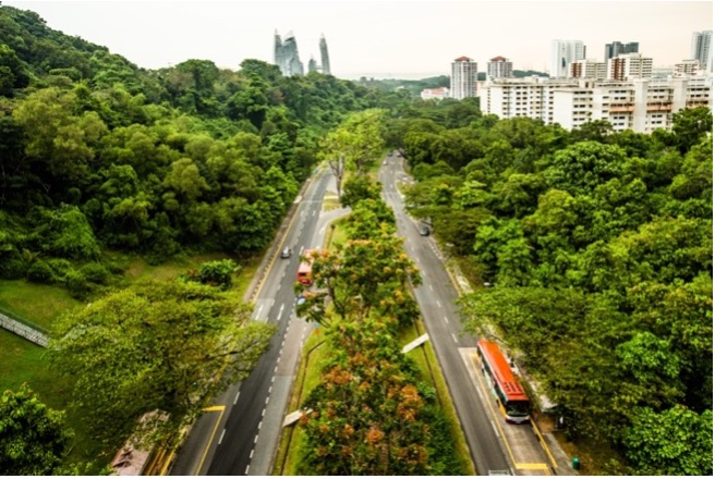Cityscape scene with 2 roads running through it 