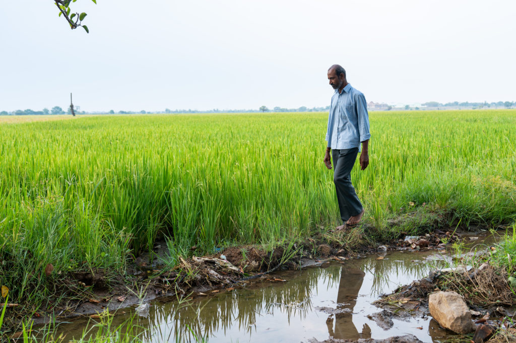 Investing in AI & digital innovation for India's farming future - Cisco ...