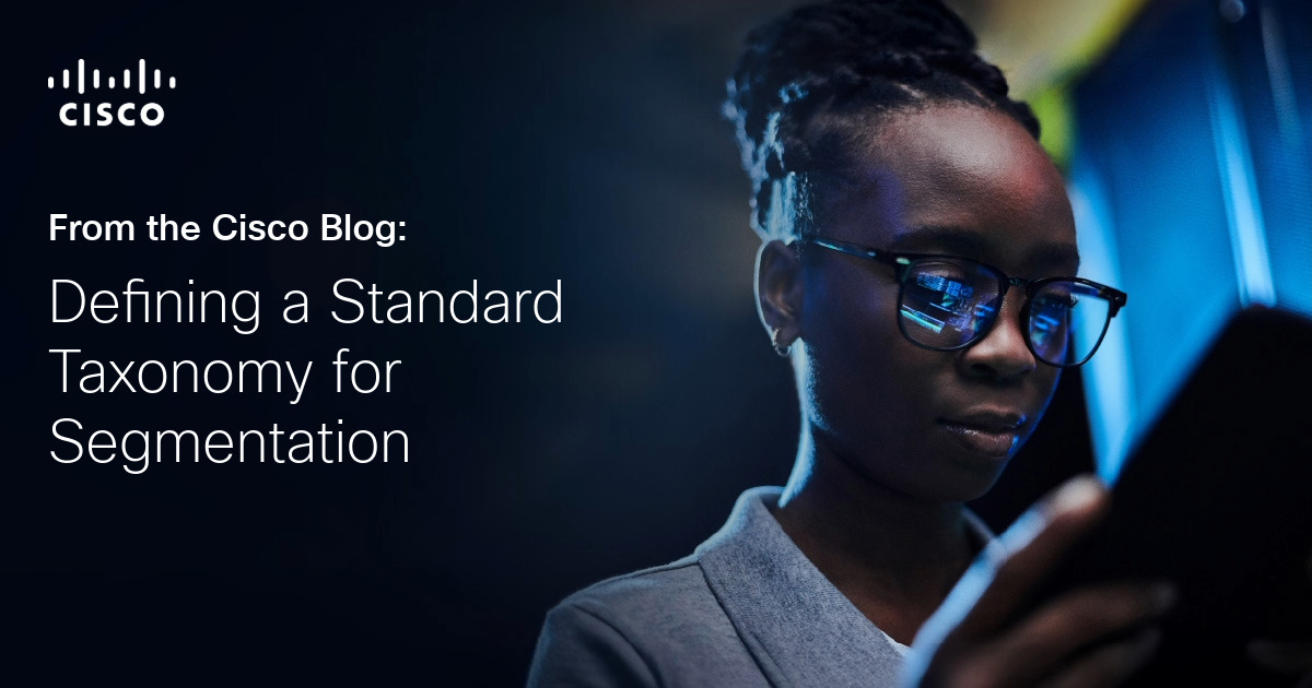 Defining a Standard Taxonomy for Segmentation