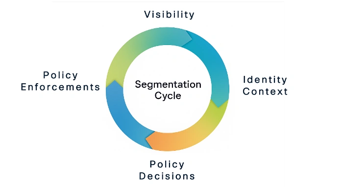 The segmentation cycle