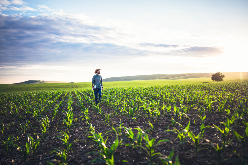 ciscos-plan-for-possible-an-update-on-our-sustainability-priorities-and-progress