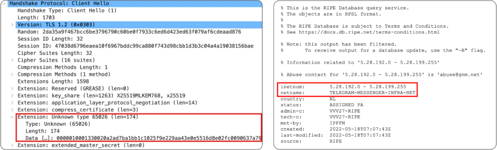 Fake TLS packet RIPE scaled