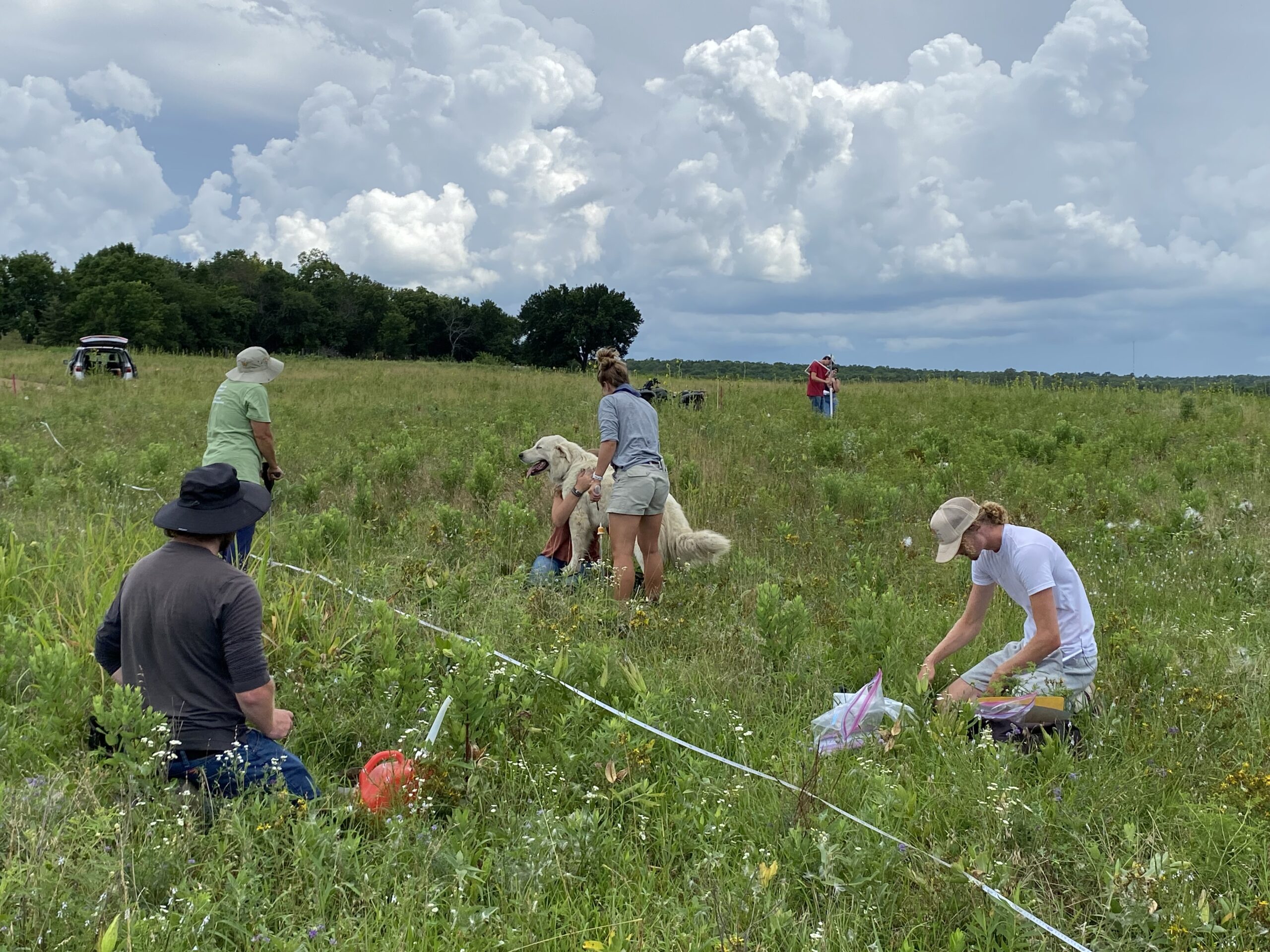 Farmers working in a field.