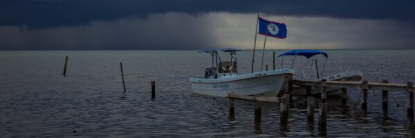 Blog post