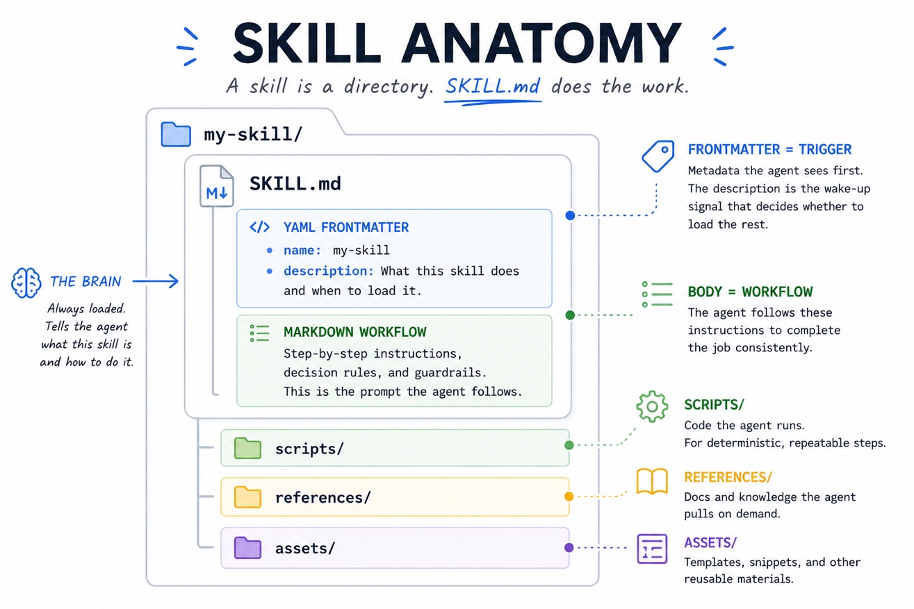 Infographic titled "Skill Anatomy" with the subtitle "A skill is a directory. SKILL.md does the work." A folder labeled "my-skill/" contains a central file called SKILL.md, which has two sections: a YAML Frontmatter block listing "name: my-skill" and "description: What this skill does and when to load it," and a Markdown Workflow block with "Step-by-step instructions, decision rules, and guardrails. This is the prompt the agent follows." Below SKILL.md are three subfolders: scripts/, references/, and assets/. A brain icon labels SKILL.md as "The Brain — Always loaded. Tells the agent what this skill is and how to do it." Four callouts on the right explain each component: Frontmatter = Trigger (metadata the agent sees first; the description is the wake-up signal that decides whether to load the rest); Body = Workflow (the agent follows these instructions to complete the job consistently); Scripts/ (code the agent runs, for deterministic, repeatable steps); References/ (docs and knowledge the agent pulls on demand); Assets/ (templates, snippets, and other reusable materials).
