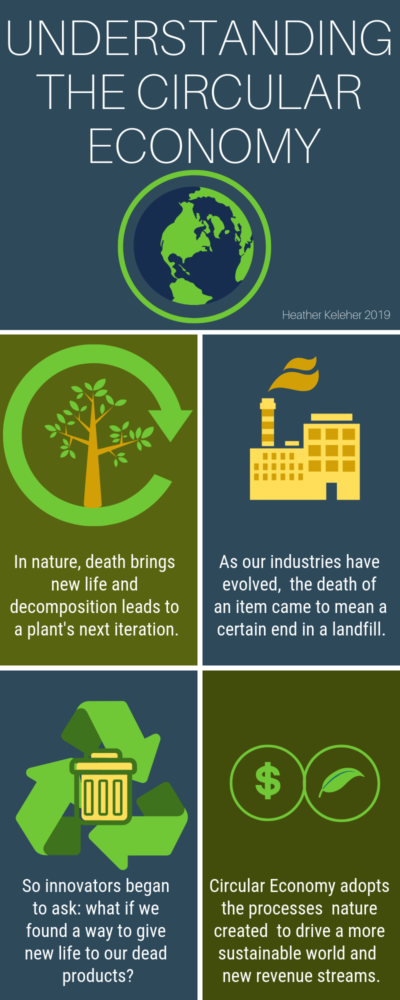 Understanding the Circular Economy