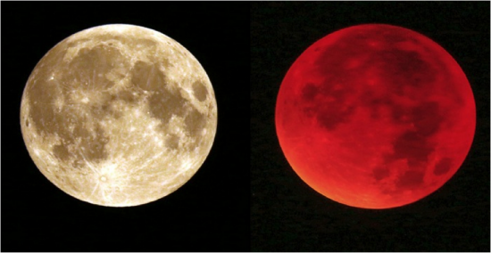 Blood Moon