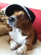 NewAssistantNetworkEngineer