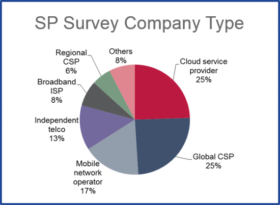 Service Provider Type - Survey Demographics