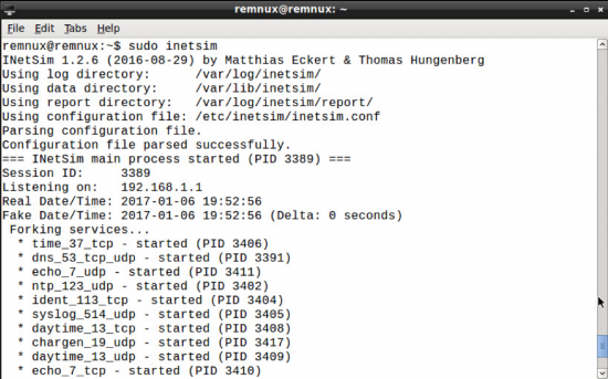 Figure 3. Screenshot of INetSim executing. 